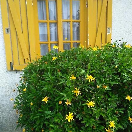 Casa Amarela Apartment Esmoriz Exterior foto