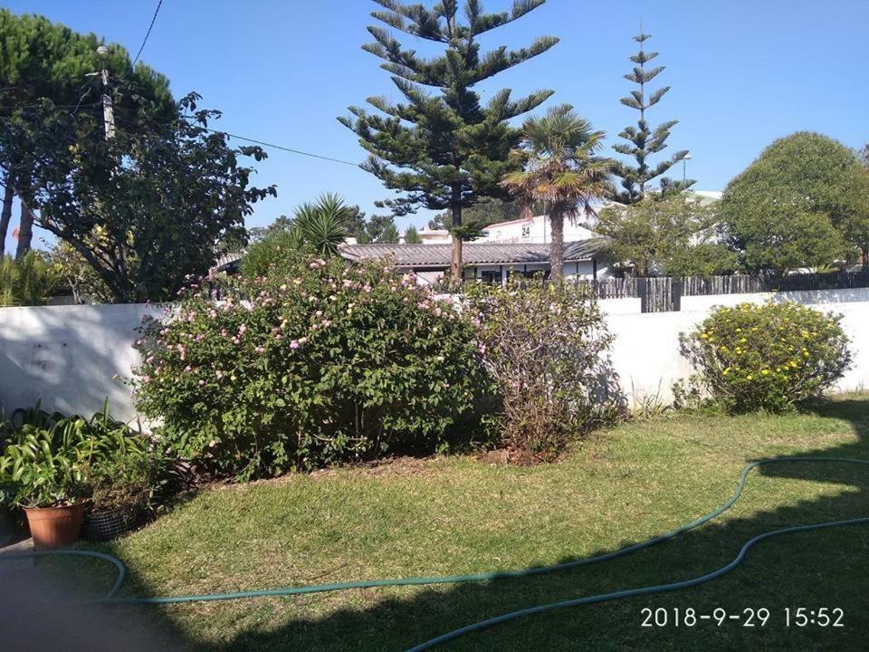Casa Amarela Apartment Esmoriz Exterior foto