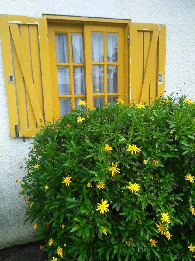 Casa Amarela Apartment Esmoriz Exterior foto